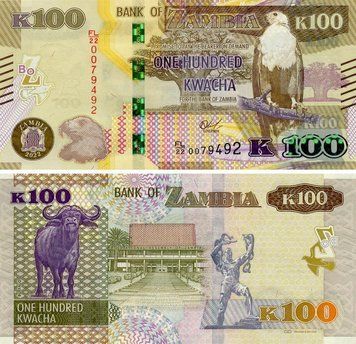 Банкнота Замбія 100 квача 2022 UNC Буйвол (Pnew) Б18160 фото