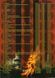 Album for Russian coins.&nbsp;Commemorative ten-ruble coins. Cities of military glory.&nbsp;Option 2