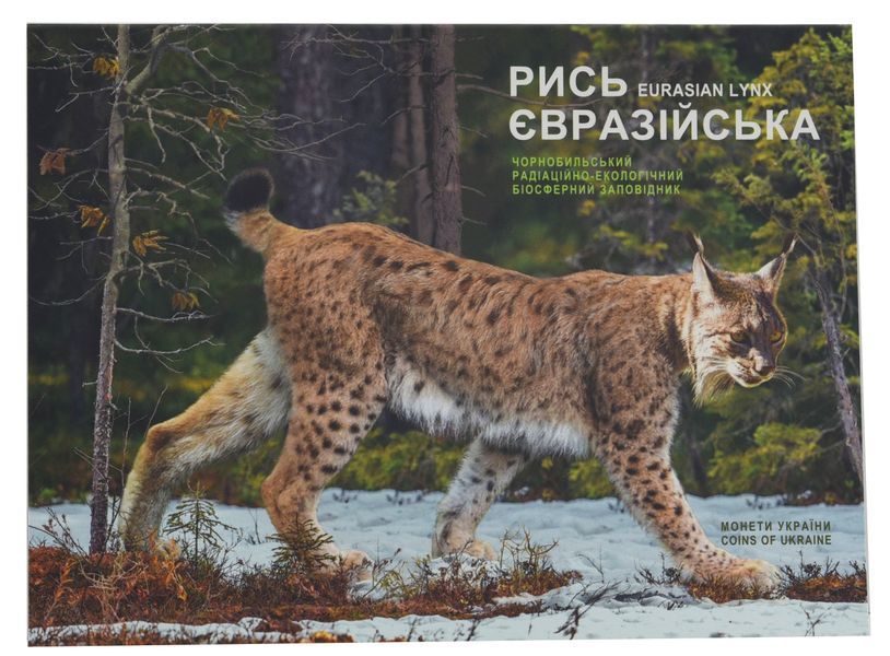 Монета Україна 5 гривень 2023 UNC Чорнобиль. Відродження. Рись євразійська у сувенірній упаковці М17348 фото