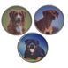Coins set Canary Islands Set of 3 ECU 1.5 2020 UNC Dogs Medals (2nd Edition)