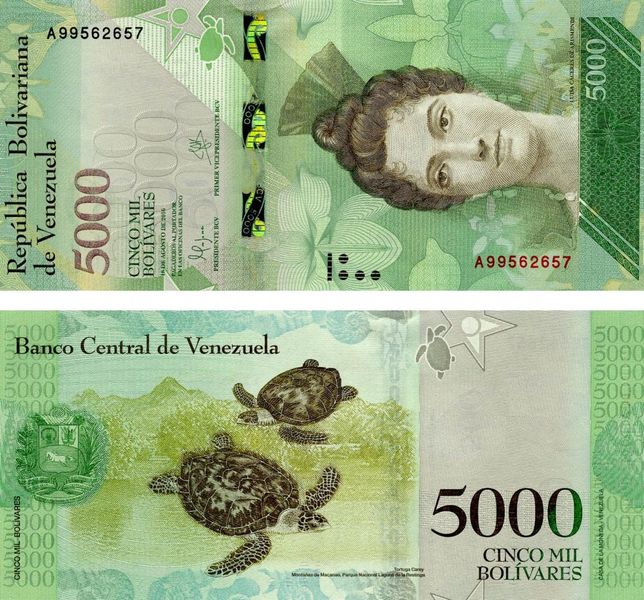 Venezuela 5000 Bolivar 2016 UNC Turtles (P97)