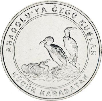 Coin Turkey 1 kurush 2018 UNC "Birds of Turkey - Lesser Cormorant"
