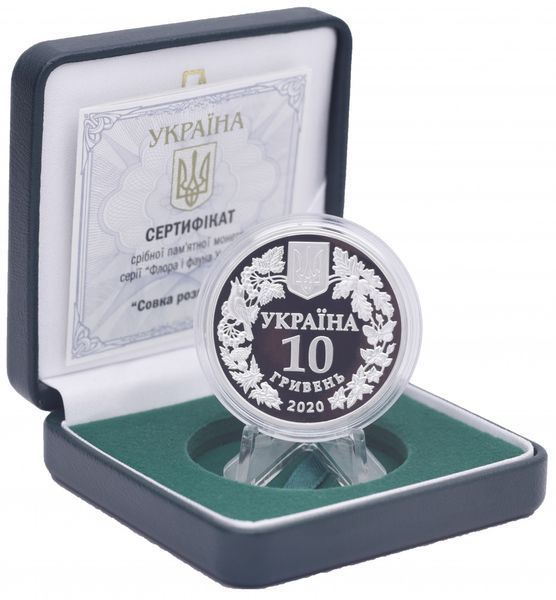 Coin Ukraine 10 hryvnia 2020 Silver Proof Scoop luxury