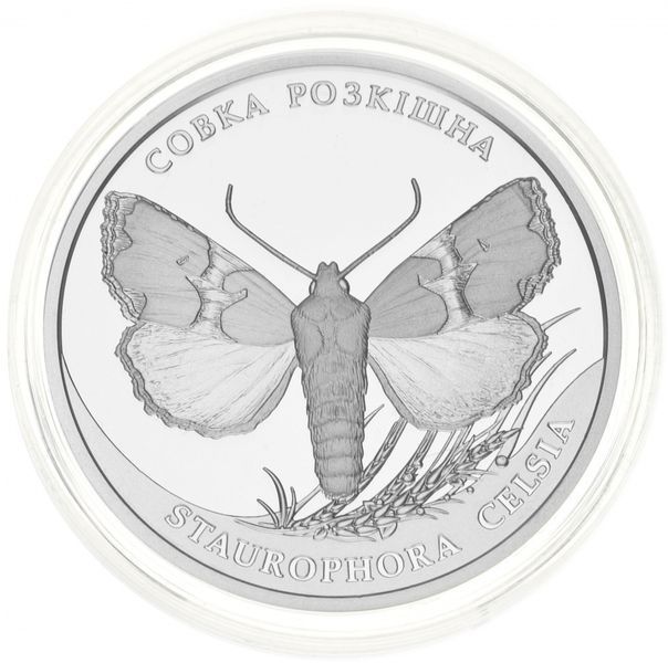 Coin Ukraine 10 hryvnia 2020 Silver Proof Scoop luxury