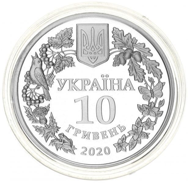 Coin Ukraine 10 hryvnia 2020 Silver Proof Scoop luxury