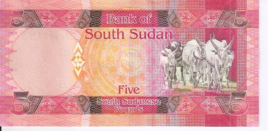 Банкнота Южный Судан 5 фунтов 2011 UNC (P6) Б05736 фото